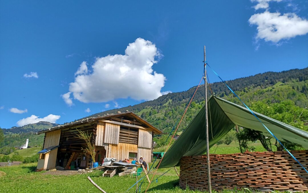 Wild Kräuter und Gesang Workshop